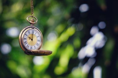 Close-up of clock hanging on tree