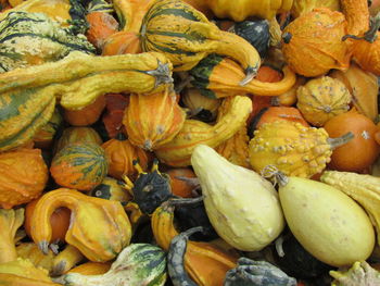 Full frame shot of pumpkins