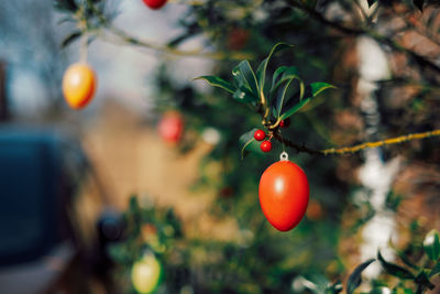 Orange plastic easter egg on tree