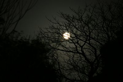 Low angle view of bare trees against sky at sunset