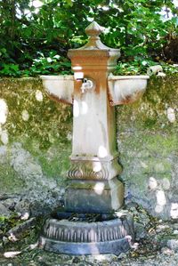 Close-up of statue in park