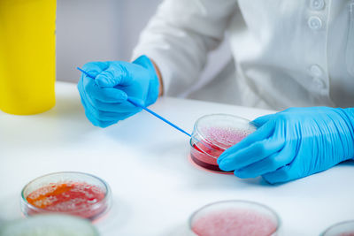 Microbiology laboratory work. hands of a microbiologist working in a biomedical research laboratory