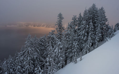 Snow covered trees on mountain by lake