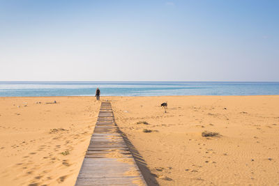 Scenic view of beach against clear sky