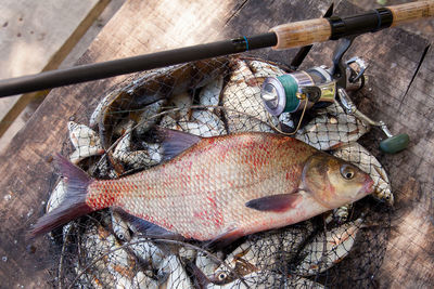 High angle view of fish for sale at market