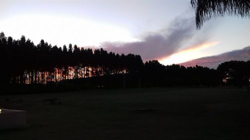 Silhouette trees on landscape against sky at sunset