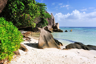 Scenic view of beach against sky