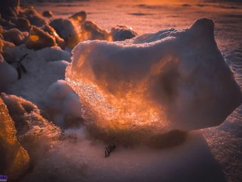 Close-up of frozen sea during sunset