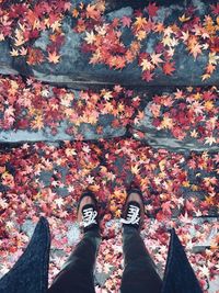Low section of person standing in autumn leaves