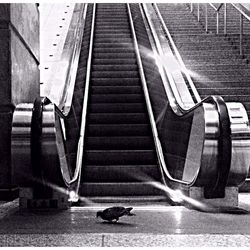 View of escalator