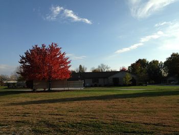 Scenic view of grassy field against sky
