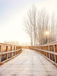 Footpath amidst bare trees against sky during winter