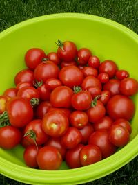 High angle view of tomatoes in bowl