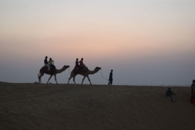 Silhouette of man riding horse in desert