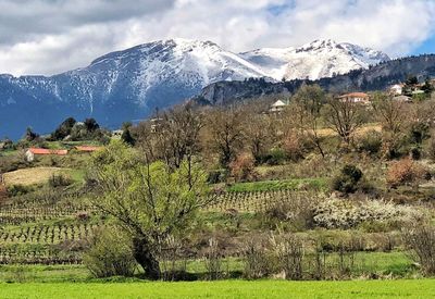 Scenic view of field and mountains against sky