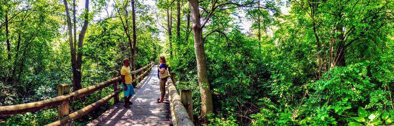 Panoramic view of friends standing on wooden bridge at boerner botanical gardens