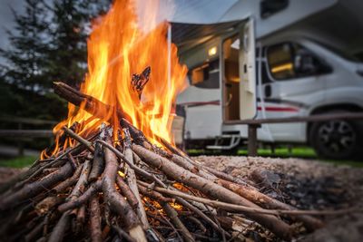 Close-up of fire on log