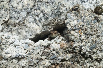 Full frame shot of rock