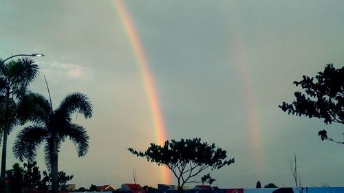 Low angle view of rainbow over trees against sky