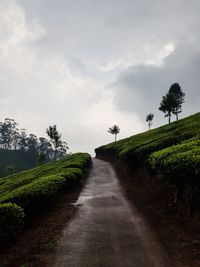 Empty road along trees and plants against sky