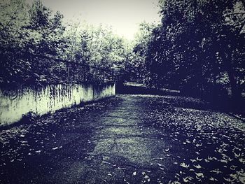 Road amidst trees against sky