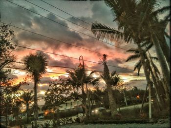 Palm trees against sky during sunset