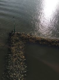 View of water in water