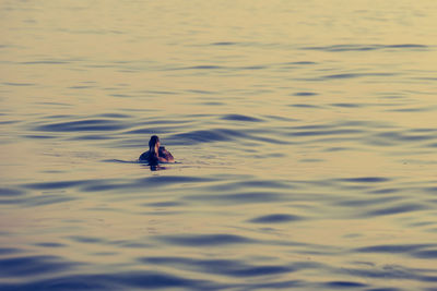 Man swimming in a sea