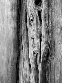 Close-up of wooden wall