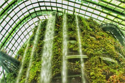 Low angle view of waterfall in greenhouse