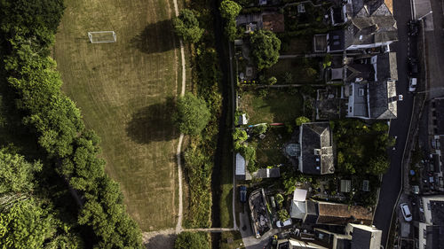 High angle view of tree trunk