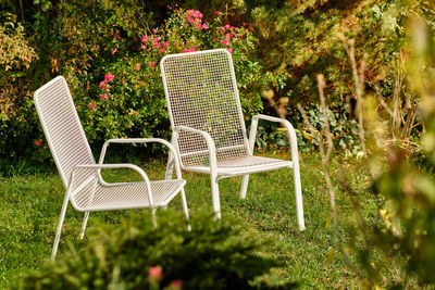 Empty chairs in garden