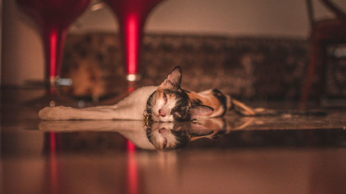 Reflection of woman on mirror at home