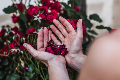 Cropped hand of woman holding flower
