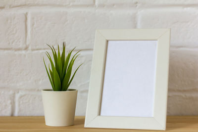 Potted plant on table