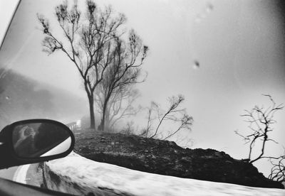 Close-up of bare tree against sky