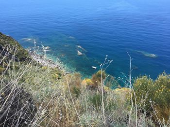 High angle view of sea shore