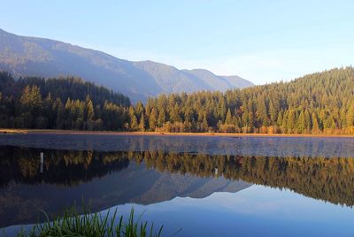 Scenic view of lake in forest against sky