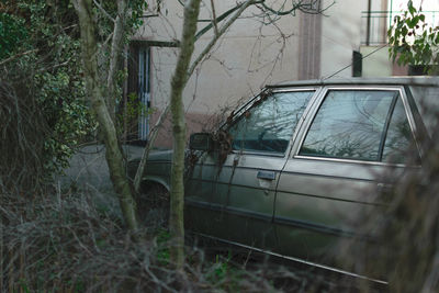 Abandoned car on grass