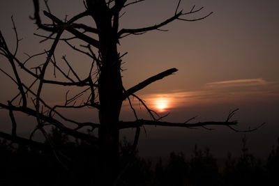 Silhouette bare tree against dramatic sky during sunset