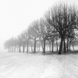 Trees on snow covered land against clear sky