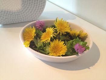 Close-up of yellow flowers