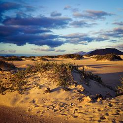 Scenic view of desert against sky