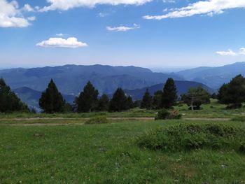 Scenic view of field against sky