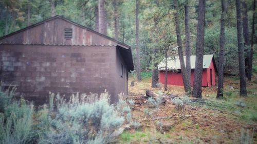 Houses with trees in background