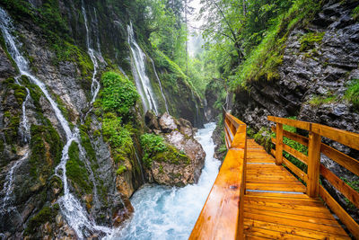 Scenic view of waterfall in forest