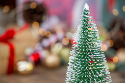 Close-up of christmas tree