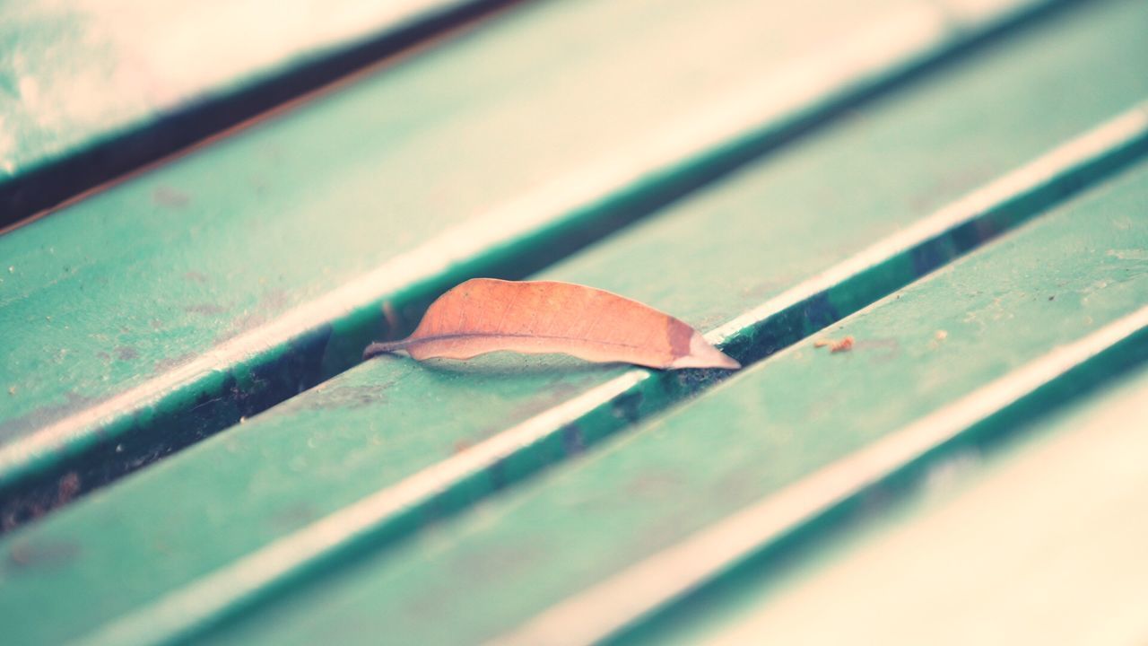 FULL FRAME SHOT OF LEAVES ON WOOD