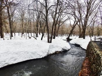 Bare trees on frozen river during winter