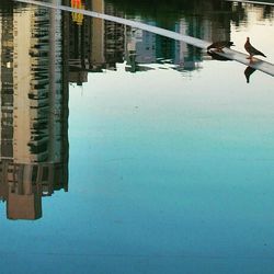 Reflection of buildings in water